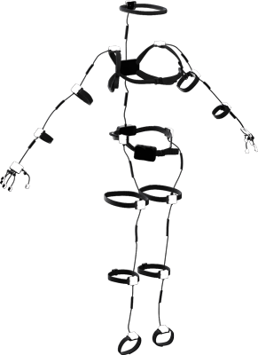 专业版软件授权